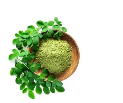 Moringa Powder for Sale-1