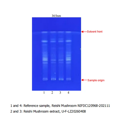 REISHI MUSHROOM EXTRACT HPTLC CHROMATOGRAMS REISHI MUSHROOM EXTRACT HPTLC CHROMATOGRAMS