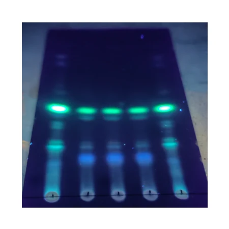 Chromatogram ofreishi mushroom extract Chromatogram ofreishi mushroom extract