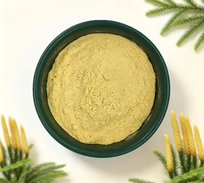 Er Lycopodium Homosporous eða Heterosporous? Grasafræðileg leiðbeining fyrir Lycopodium Powder Su...