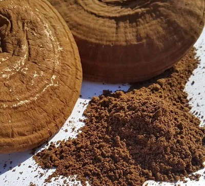 Reishi sveppaútdráttarframleiðendur: Útdráttarferli og styrkleikaprófun