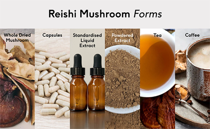 Mushroom Powders Applications Mushroom Powders Applications