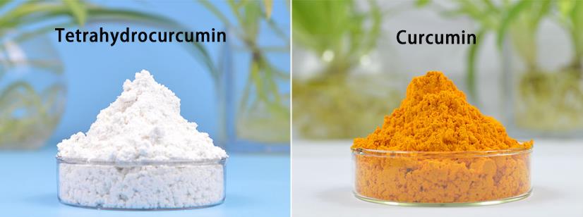 Kólumbískt viðskiptavinur kaupir Curcumin 95% endurgjöf