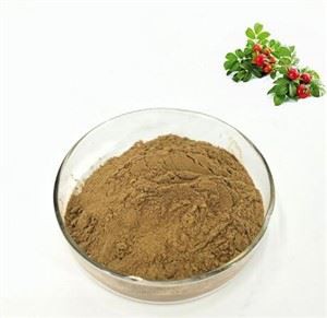 Rosehips Powder
