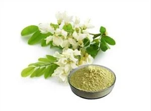 Rutin Powder