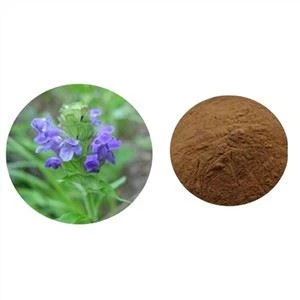Prunella Vulgaris Extract