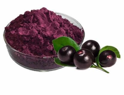 Acai Berry Powder Bulk