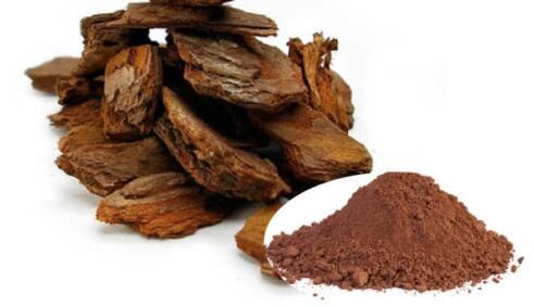 Pine Tree Bark Extract