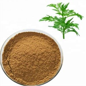 Artemisia Annua útdráttur