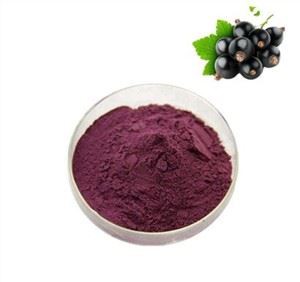 Útdráttur úr sólberjum