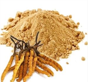 Cordyceps Sinensis duft