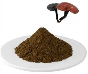 Ganoderma Lucidum duft