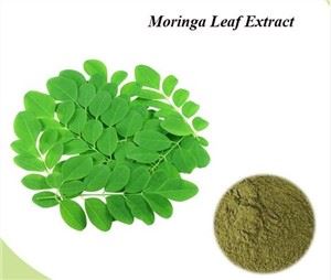 Moringa laufþykkni