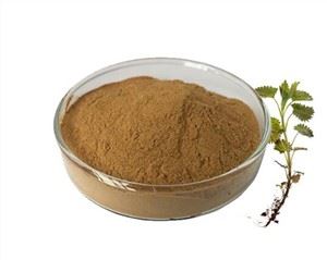 Nettla Root Extract Powder