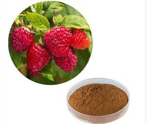 Hindberja ketón duft