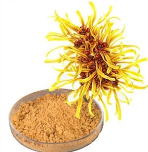 Hamamelis Virginiana Witch Hazel Leaf Extract