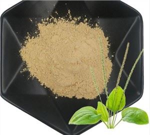 Plantago Psyllium fræ þykkni