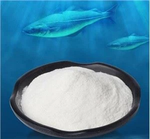 Pure Fish Collagen Peptide