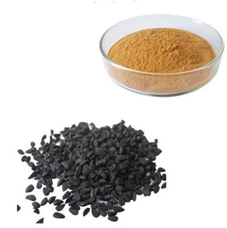 Thymoquinone þykkni úr Nigella Sativa